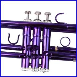 Brass B Flat Trumpet with Case Mouth of Trumpet and Gloves Violet