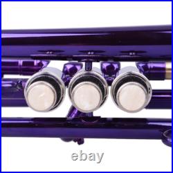 Brass B Flat Trumpet with Case Mouth of Trumpet and Gloves Violet