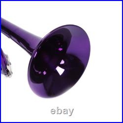 Brass B Flat Trumpet with Case Mouth of Trumpet and Gloves Violet