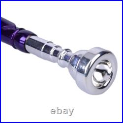 Brass B Flat Trumpet with Case Mouth of Trumpet and Gloves Violet