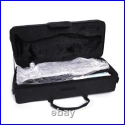 Brass B Flat Trumpet with Case Mouth of Trumpet and Gloves Violet