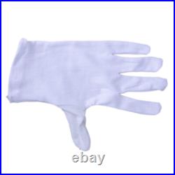 Brass B Flat Trumpet with Case Mouth of Trumpet and Gloves Violet