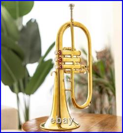 Brass Bb Flugelhorn 3 Valves Classy Look gift! Jazz Band Instrument With Case