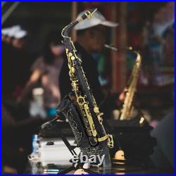 Brass Eb Alto Saxophone Sax Gold with Case Student Beginner & Accessories NEW