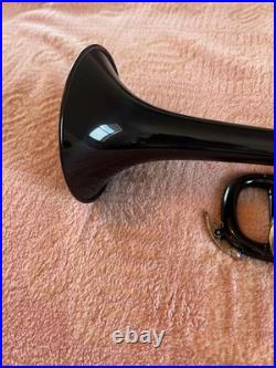 Cahaya Student Trumpet, Black Finish Over Brass, Brand New