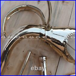 Carnyx Serpent of Tingtinac Celtic Brass War Functional Trumpet Horn Halloween