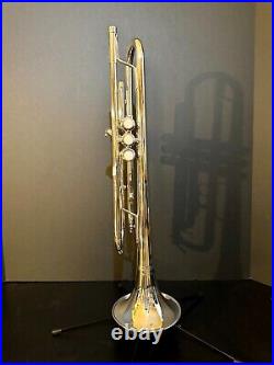 CarolBrass Beginner Trumpet with Yellow Brass Lacquer Finish CTR-1000H-YSS-Bb-S