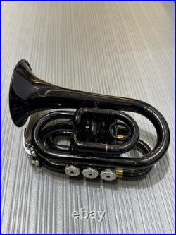 Cecilo Mendini Trumpet (cjl061748)