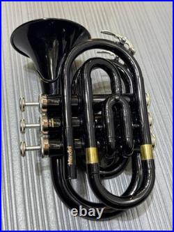 Cecilo Mendini Trumpet (cjl061748)