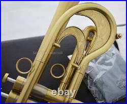 Concert Matt Gold Trumpet Unique Horn By WEIBSTER Musical Bore 0.465'