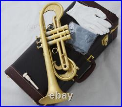 Concert Matt Gold Trumpet Unique Horn By WEIBSTER Musical Bore 0.465'