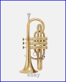 Cornet, Bb, Brass. With Free Hard Case and Mouthpiece BRASS MUSICALS-INSTRUMENTS