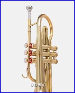 Cornet, Bb, Brass. With Free Hard Case and-Mouthpiece BRASS-MUSICALS, INSTRUMENTS