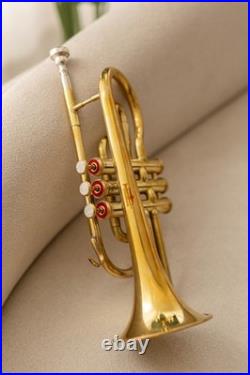 Cornet, Bb, Brass. With Free Hard Case and Mouthpiece BRASS MUSICALS-INSTRUMENTS