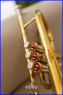 Cornet, Bb, Brass. With Free Hard Case and Mouthpiece BRASS-MUSICALS-INSTRUMENTS