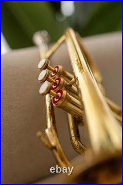 Cornet, Bb, Brass. With Free Hard Case and-Mouthpiece BRASS-MUSICALS, INSTRUMENTS