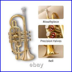 Cornet, Bb, Brass. With Free Hard Case and Mouthpiece BRASS MUSICALS INSTRUMENTS