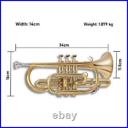 Cornet, Bb, Brass. With Free Hard Case and Mouthpiece BRASS-MUSICALS-INSTRUMENTS