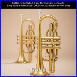 Cornet, Bb, Brass. With Free Hard Case and Mouthpiece BRASS-MUSICALS-INSTRUMENTS