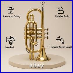 Cornet, Bb, Brass. With Free Hard Case and Mouthpiece BRASS-MUSICALS-INSTRUMENTS