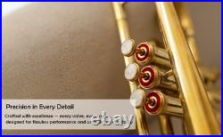 Cornet, Bb, Brass. With Free Hard Case and Mouthpiece BRASS MUSICALS INSTRUMENTS