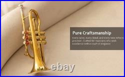 Cornet, Bb, Brass. With Free Hard Case and Mouthpiece BRASS-MUSICALS-INSTRUMENTS