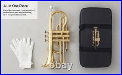 Cornet, Bb, Brass. With Free Hard Case and-Mouthpiece BRASS-MUSICALS, INSTRUMENTS
