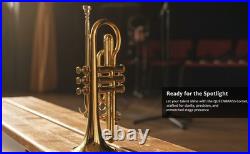 Cornet, Bb, Brass. With Free Hard Case and-Mouthpiece BRASS-MUSICALS, INSTRUMENTS