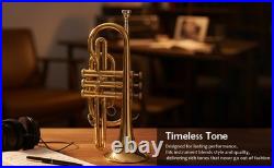 Cornet, Bb, Brass. With Free Hard Case and Mouthpiece BRASS-MUSICALS-INSTRUMENTS
