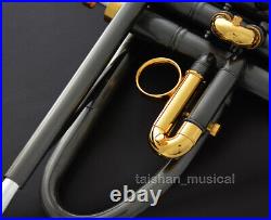 Customized Brushed Black nickel Trumpet Double inlet pipe Saturn Water WTR-863S