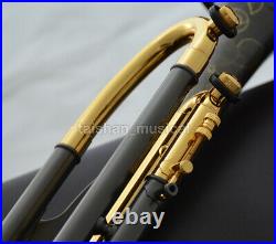 Customized Brushed Black nickel Trumpet Double inlet pipe Saturn Water WTR-863S
