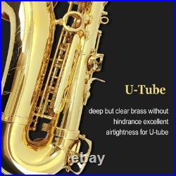 E Flat Alto Saxophone Lacquer Brass Alto Sax Set for Students Gold