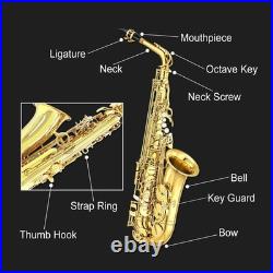 E Flat Alto Saxophone Lacquer Brass Alto Sax Set for Students Gold