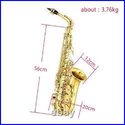 E Flat Alto Saxophone Lacquer Brass Alto Sax Set for Students Gold