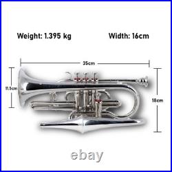 Echo Cornet Brass in Bb 4 Valve Brass FINISH with Case and Mouthpiece Band BRS