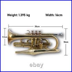 Echo Cornet Brass in Bb 4 Valve Brass FINISH with Case and Mouthpiece Band BRS