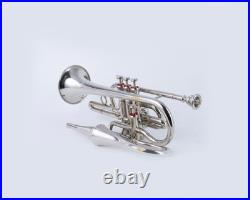 Echo Cornet Brass in Bb 4 Valve Brass FINISH with Case and Mouthpiece Band BRS