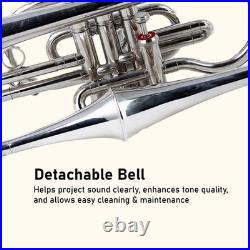 Echo Cornet Brass in Bb 4 Valve Brass FINISH with Case and Mouthpiece Band BRS