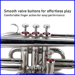 Echo Cornet Brass in Bb 4 Valve Brass FINISH with Case and Mouthpiece Band BRS