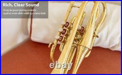 Echo Cornet Brass in Bb 4 Valve Brass FINISH with Case and Mouthpiece Band BRS