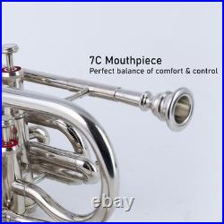 Echo Cornet Brass in Bb 4 Valve Brass FINISH with Case and Mouthpiece Band BRS