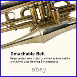 Echo Cornet Brass in Bb 4 Valve Brass FINISH with Case and Mouthpiece Band BRS