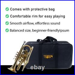 Echo Cornet Brass in Bb 4 Valve Brass FINISH with Case and Mouthpiece Band BRS