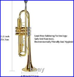 Estandar de trompeta adecuados para los estudiantes principiantes Bb instrumento