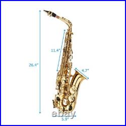 FAST, FREE SHIPPING? Pros / Beginners! Saxophone +Case/Bag +Gloves