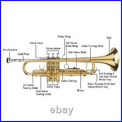 FREE SHIPPING? Unmarked Trumpet with Case/Bag/Pack +Strap +Cloth