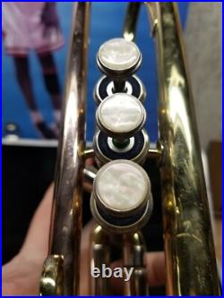 F. Schmidt H300L Student Trumpet