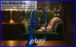 Flugel Horn BLUE Color Bb Flat 3 Valve With Hard Case Mouthpiece