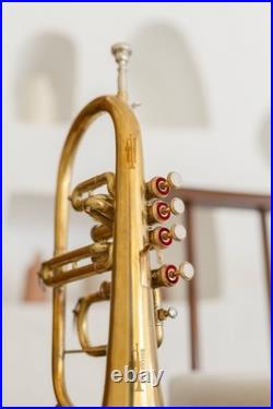 Flugel Horn Brass Bb Flat 4 Valve With Hard Case Mouthpiece Flugel Horn