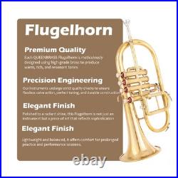 Flugel Horn Brass Bb Flat 4 Valve With Hard Case Mouthpiece Flugel Horn